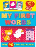 Tiny Tots Flash Cards Box Set: My First Words
