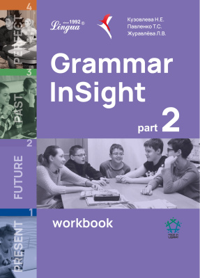 Grammar InSight 2